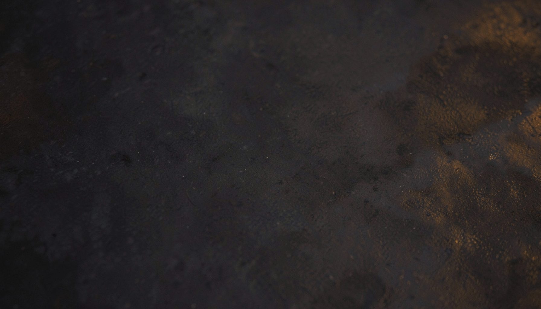 Dark textured surface with subtle warm highlights, deep charcoal and muted amber tones